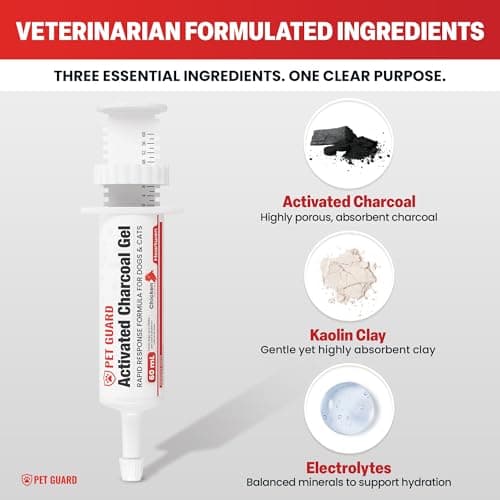 Heartwen Activated Charcoal for Dogs & Cats (60 mL) | Emergency Pet First Aid for Accidental Ingestion & Digestive Support | Simple to Dose, Ready-to-Use | Chicken Flavored - Thumbnail 3