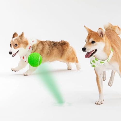 AQPU 3-Pack Tennis Ball Dog Toys with Squeaker, Interactive Fetch Play for Pets 40 lbs and Over ，Training Balls for Indoor & Outdoor Exercise, 3.28-inch (Green, 18PCS) - Thumbnail 5