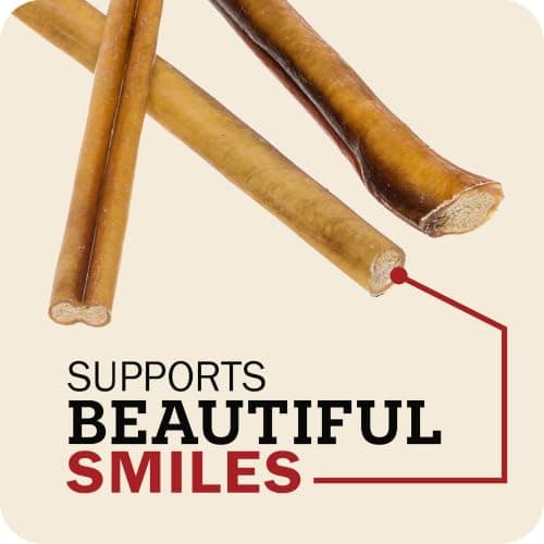 Redbarn Pet Products All Natural 5"-8" Bully Sticks for Small & Large Dogs - Healthy Long Lasting Chews Variety Party Pack - 100% Beef Single Ingredient Low Odor Rawhide Free Dental Treats - 8 oz Bag - Thumbnail 4
