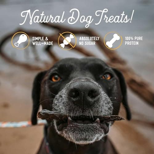 Beg & Barker Beef Liver Jerky for Dogs (4 Ounce, Pack of 2) - Dog Training Treats - Natural Dog Treats Made in The USA - Grain Free, Diabetic-Friendly, High Protein, Sugar-Free - Thumbnail 4