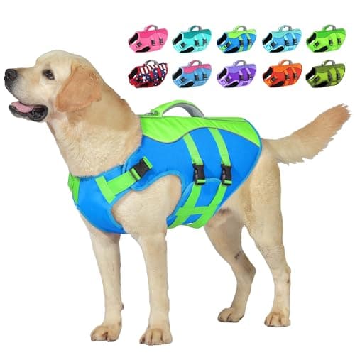 Petglad Dog Life Jacket, High Buoyancy Dog Life Vest with Handle for Swimming Boating, Adjustable Swimming Vest with Reflective Trim for Small Medium Large Dogs - Blue & Green, M - Image 1