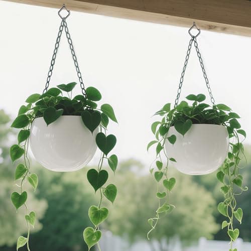 Emiluil 22 PCS Metal Black Eye Screw Hooks for Hanging Heavy Duty.Windproof Ceiling Hooks for Hanging Plants,Cup,Wind Chime,Bird Feeders,Christmas String Lights at Indoor&Outdoor 2.2 Inch - Thumbnail 5