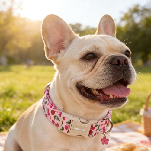 ARING PET Dog Collar, Cute Spring Summer Strawberry Cherry Pet Collars for Puppy Small Medium Large Boy Girl Dogs-M, for Daily Outdoor Walking Training - Thumbnail 4