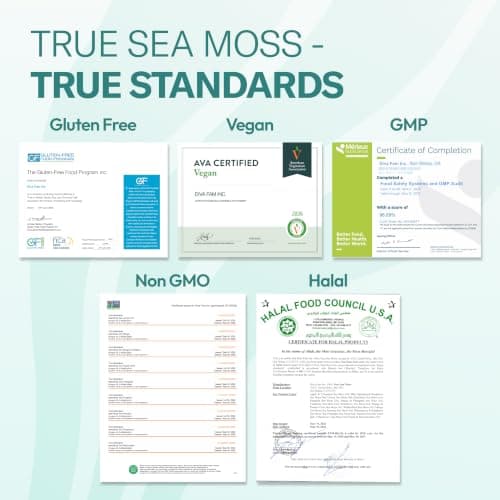 TrueSeaMoss Sea Moss Gel Mango Pineapple - Wildcrafted Seamoss Gel - 16 oz Glass Jar - Made in USA - Vegan - Non-GMO - Gluten-Free, Pack of 2 (Labels may Vary) - Thumbnail 2
