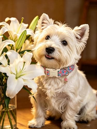 Lionet Paws Floral Dog Collar Summer Lily Collars with Pink Daisies Pattern Pendant - Female Girl Dog Collar for Small Medium Large Dogs S - Thumbnail 5
