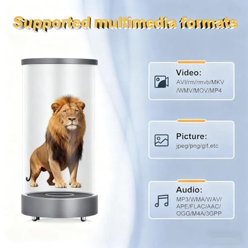WeADS Hologram Fan，3D Hologram Projector with WiFi Connetion, Charge Type C and Compatible With Mp4, Jpg for Halloween,Christmas,Thanksgiving,Easter,Birthday Gifts (Silver) - Thumbnail 5