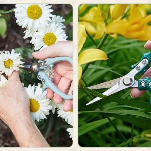 Modern Sprout Pruning Shears - Herb Snipping Scissors- Lightweight Gardening Tools W/Easy Lock - Flower Cutter Garden Shears - Carbon Steel Blade + Reusable Holster (Sage, 1-Pack) - Thumbnail 6