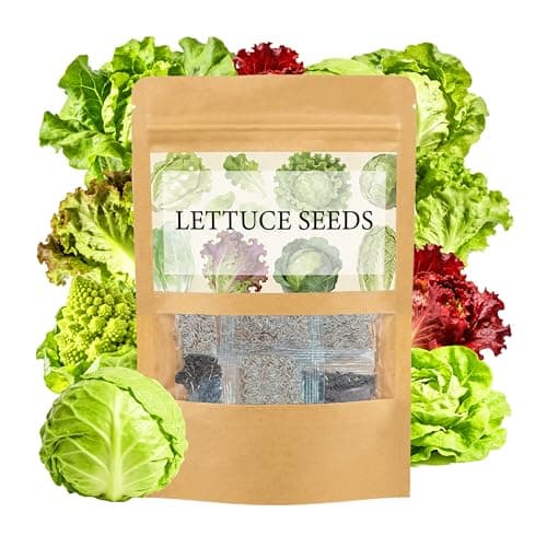 LUOJIBIE Lettuce Seeds for Planting Outdoors, Vegetable Garden Seeds, 8 Varieties Non-GMO Heirloom Lettuce Seeds (Romaine, Red Leaf, Italian, Batavian, and More) for Fresh Salad Greens, Fast Growing - Image 1