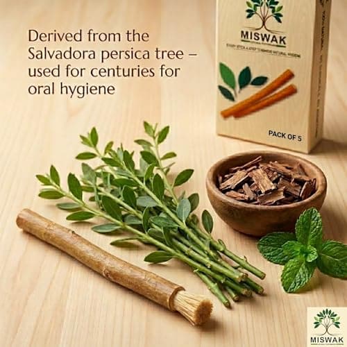 MISWAK Premium Natural Sticks 3 Pack with Vacuum Holder - Authentic Peelu Wood (Salvadora Persica) Herbal Tooth Sticks for Teeth Whitening, Fresh Breath & Gum Care - Thumbnail 5