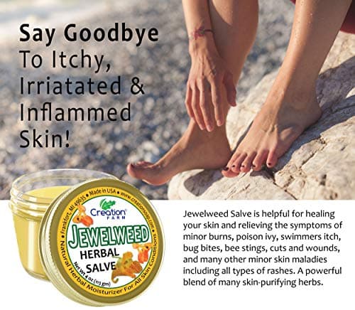 Creation Farm Jewelweed Balm, Poison Ivy Remedy, Herbal Tea Tree Salve Jar Skin Treatment Helps Tattoo's, Soothes Rashes, No Gluten, No Parabens, No Soy, No GMO - Thumbnail 5