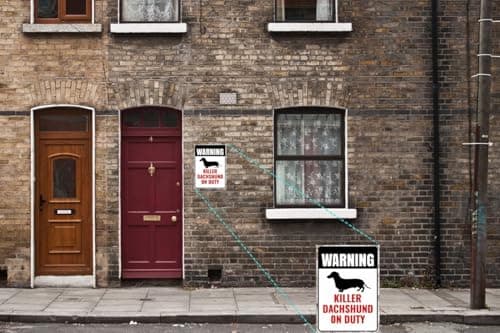 Carastora Dachshund Security Warning Sign – 8x12 Inch Vintage Metal Tin Sign, Dog Patrolled Property Decor for Home, Yard, Gate, Garage, Bar, or Fence Rustic Wall Decor - Thumbnail 3