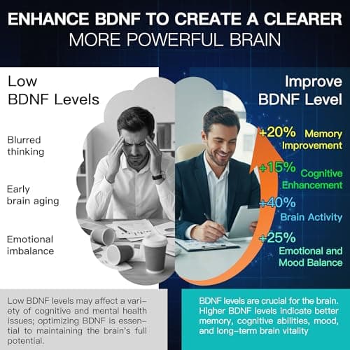 VEX Brain Supplements for Memory and Focus Contain Vitamin B12 folic Acid acetylcysteine Purslane Lion's Mane Mushroom and Ginkgo biloba extracts—for Brain Health 60 Capsules - Thumbnail 5