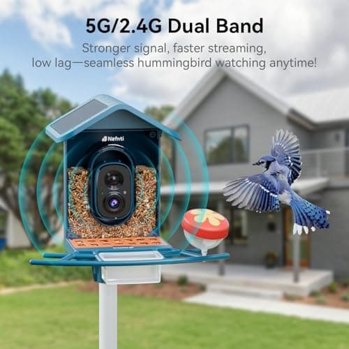Smart Bird Feeder with Camera Solar Powered, 5GHz/2.4GHz, 2K HD Live View, AI Bird Species Identify, Instant Arrival Alerts, Weatherproof Outdoor Bird Feeder Camera, Best for Bird Lovers - Thumbnail 3