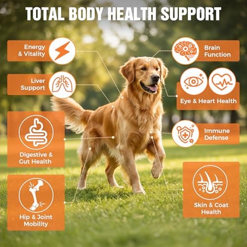 KISFLY 8-in-1 Dog Multivitamin Soft Chews – Glucosamine & Chondroitin for Joint Health, Probiotics for Gut Support, Omega-3 for Skin & Coat, Immune & Digestive Support – All Ages & Breeds – 120 Count - Thumbnail 3