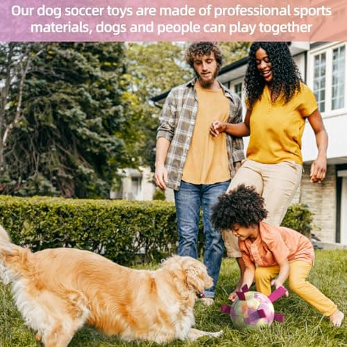 QDAN Extra Large Dog Toys Soccer Ball for Extra Large Dogs - Durable Dog Ball for Beach Pool Water Toy, Interactive Tug of War, Puppy Birthday Gifts, Rainbow (9 Inch) - Thumbnail 4