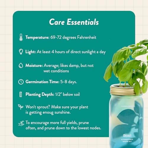 Modern Sprout Mason Garden Jar - Self-Watering Hydroponics Growing System Kit with Organic Herb Seeds - Jar Planter for Indoor Herb Garden - Seed Starter Kit - Home Decor & Gifting - Basil - Thumbnail 5
