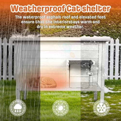 BRIOPAWS Outdoor-Cat-House-Insulated | Feral-Cat-Shelter for Winter | Weatherproof | Large Wooden Pet House for Multiple Cats | Foldable Ladder | Acrylic Side Window | White - Thumbnail 4