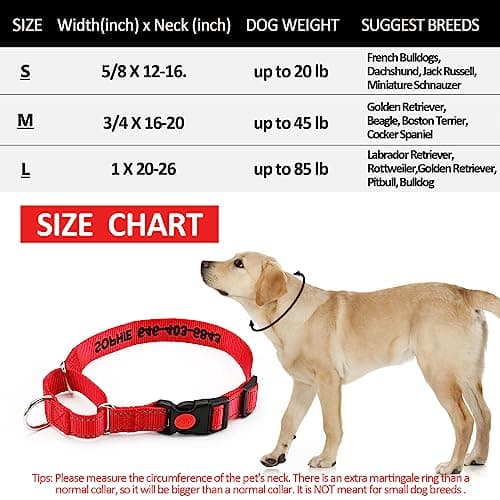 Personalized Martingale Dog Collar-Reflective Martingale Collars with Buckle, Custom Training Martingale Dog Collars Embroidered with Name and Phone Number for Small Medium Large Dogs - Thumbnail 6