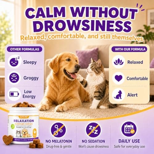 GJYC PET Calming Chews for Dogs & Cats – Anxiety Relief & Stress Support Supplement, Non-Drowsy Relaxation for Separation, Thunderstorms & Travel, Herbal Calming Formula, Chicken Flavor Soft Chews - Thumbnail 5