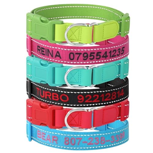 Custom Nylon Reflective Dog Collar, Personalized Embroidered Dog Collar with Name and Phone Number, Upgraded D-Shaped Leather Ring, 4 Adjustable Sizes - for Boy, Girl Dogs (Embroidery)