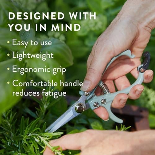 Modern Sprout Pruning Shears - Herb Snipping Scissors- Lightweight Gardening Tools W/Easy Lock - Flower Cutter Garden Shears - Carbon Steel Blade + Plastic-Free Reusable Holster (Multicolor 4 Pcs) - Thumbnail 6