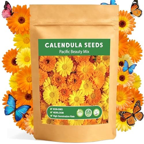 LUOJIBIE Calendula Seeds, Calendula Seeds for Planting Outdoor & Indoor, 8,000+ Pacific Beauty Mix Annual Flower Seeds Bulk, Non-GMO Flower Seeds, Large Blooms, Easy to Grow - Image 1