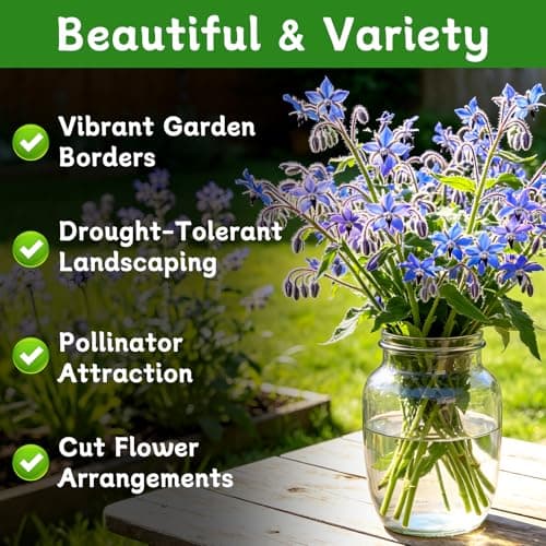 LUOJIBIE Borage Seeds, 2,000+ Blue Borage Seeds for Planting Outdoor & Indoor, Flower Seeds Bulk for Garden, Non-GMO & Heirloom, Easy to Grow - Thumbnail 2