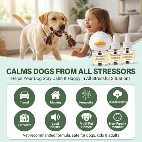Dog Calming Diffuser 10 Pack (2 Plug-in Diffusers + 8 Refills), 240 Days Supply, Dog Pheromone Diffuser for Anxiety Relief, Reduce Barking, Chewing, Aggression, Indoor Urination & Separation Anxiety - Thumbnail 4