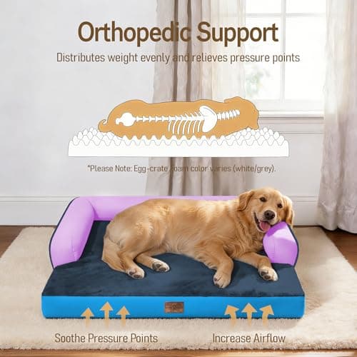 Comfort Expression Extra Large Dog Bed Orthopedic - XL Orthopedic Dog Beds Memory Foam Pet Couch Waterproof Sofa Bolster with Removable Cover - 42 x 30 - Thumbnail 2