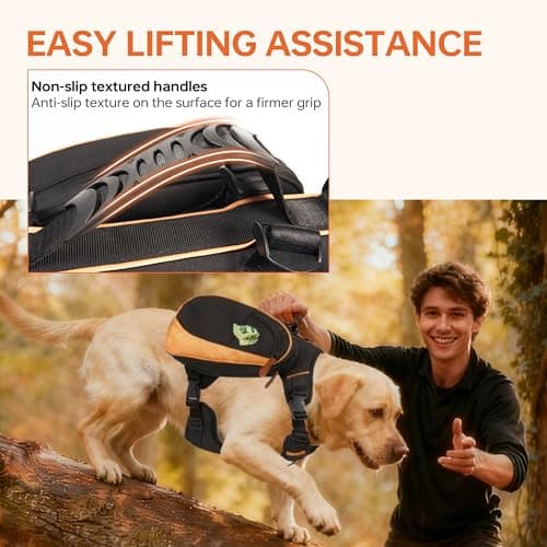 Dog Backpack for Medium & Large Dogs, Detachable Side Bags, Quick-Poop Bag Dispenser | No-Pull Adjustable Harness for Large-Chested Breeds | Non-Slip Handle for Hiking, Walking, Outdoor Adventures（L） - Thumbnail 4