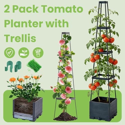 Lancisism 2 Pack Raised Garden Bed Tomato Planter with Trellis - 57" Self Watering Planter Box for Climbing Plants Vegetables Flowers - Garden Tomato Pots with Cage for Patio Greenhouse Indoor Outdoor - Thumbnail 2