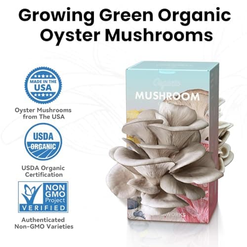 Organic Edible 4lbs Oyster Mushroom Growing Kit, Made in USA, Double-Side Mushroom Grow Kit Indoor, Harvest Gourmet Mushrooms in 10 Days, Top Gardening Gift, Holiday Gift - Thumbnail 2