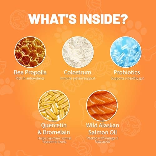 Dog Allergy Chews | Daily Support for Itchy Skin, Immune Health & Seasonal Allergies from Probiotics Omega 3 Quercetin Colostrum,Paw Licking, Pet Itchy Ear Relief Supplement - 100ct - Thumbnail 3