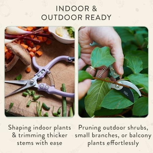 Modern Sprout Hand Pruners & Shears Set with Blister Pack - Lightweight Gardening Tools with Easy Lock - Sharp Carbon Steel Blades -Rust Resistant Scissors for Herbs, Flowers - Sage - Thumbnail 5