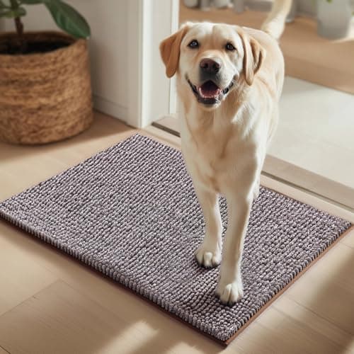 EHEYCIGA Super Absorbent Dog Door Mat for Muddy Paws 24x16 Inch Indoor, Front Doormat Outside Entrance, Quick Dry Chenille Washable Dog Crate Bed, Non-Slip Pet Rug Mud Mat Outdoor Entryway, Brown