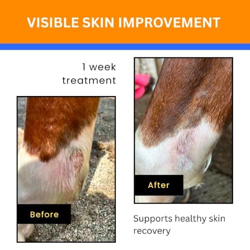 Verdant Equus Jazzy’s Cream for Horses | Fast-Acting Equine Skin Support | Wound & Rain Rot & Irritated Skin Care - Thumbnail 6