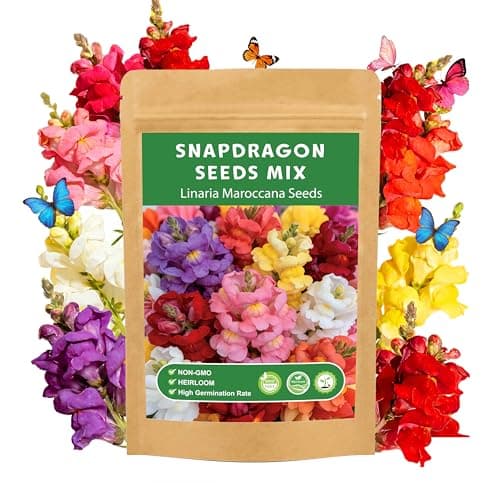 LUOJIBIE Snapdragon Seeds, 10,0000+ Tetra Mix Snapdragon Seeds for Planting (Antirrhinum Majus) Fairy Bouquet Blend, Non-GMO Heirloom Annual Flower Garden Seeds Bulk for Outdoor & Indoor - Image 1
