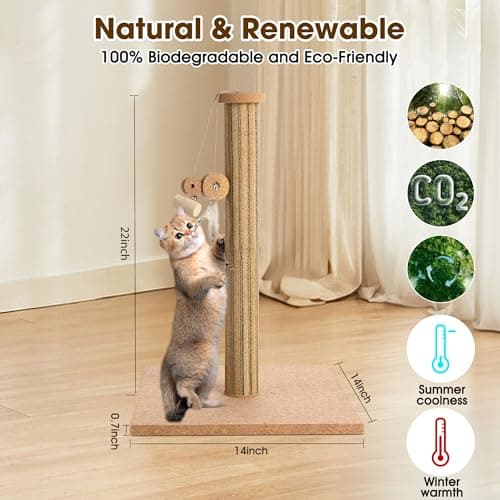 Natural Cork Vertical Cat Scratching Post-Cork-cat Scratcher with Feather Toy-cat Tree-cat scratchers for Indoor Cats Toys Stable Base-Eco-Friendly-Safe-Noise-Reducing for Claw Health-Home Decorate - Thumbnail 6