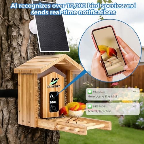 Bamboo Smart Bird Feeder with 4K Camera, AI Bird Identification 10000+ Species, Solar Powered & USB-C Charging, IP65 Weatherproof, 1.25L Speed Capacity for Outdoor Garden (Wall Mount/Pole) (Large) - Thumbnail 3