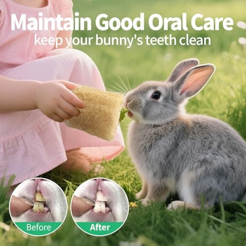 BESNEW 3 PCS Rabbit Chew Toys,100% Natural Loofah Without Additives,Bunny Chew Toys for Teeth,Fiber-Rich Rabbit Treats for Bunny Chinchilla Dogs - Thumbnail 5