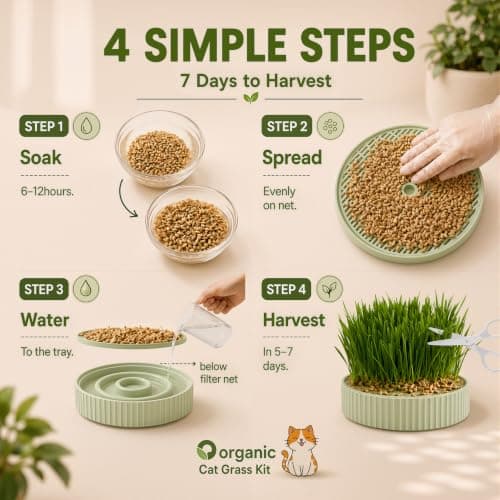 3-in-1 Slow Feeder Bowl, Cat Grass Growing Kit & Elevated Cat Food Bowl, - Thumbnail 4