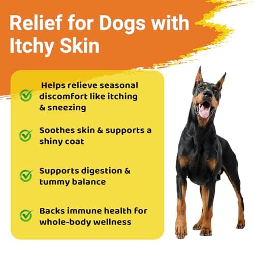 Dog Allergy Chews for Itchy Skin Relief - Seasonal Allergy and Immune Support with Colostrum, Omega 3, Probiotics, Turmeric, Zinc, Vitamins B & E - Helps with Paw Licking & Scratching - 90 Soft Chews - Thumbnail 3
