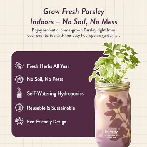 Modern Sprout Mason Garden Jar - Self-Watering Hydroponics Growing System Kit with Organic Herb Seeds - Jar Planter for Indoor Herb Garden - Seed Starter Kit - Home Decor & Gifting - Parsley - Thumbnail 3