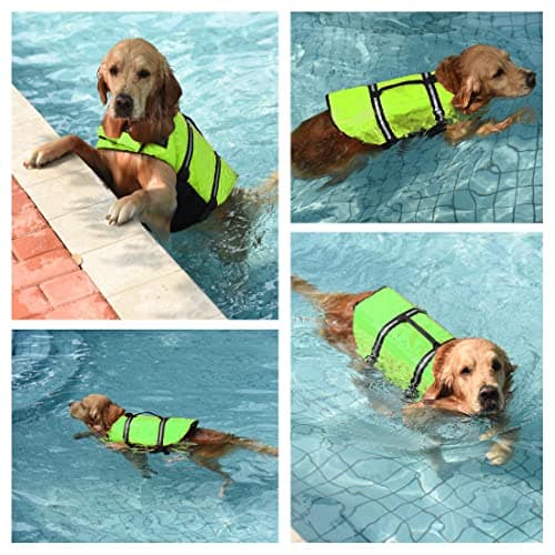 Doglay Dog Life Jacket with Rescue Handle, Dog Life Vest for Swimming Boating, Adjustable Reflective Puppy Swim Vest with Superior Buoyancy for Small Medium Large Dogs - Thumbnail 6