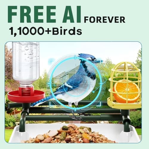 BROAIMX Bird Feeder with Camera No Subscription-Free AI Forever for 1,1000+ Birds Identification, 2K HD & 5MP Night Vision, Record Video Live View, 64GB Card, App Alerts, Gifts for Bird Lovers (Green) - Thumbnail 2