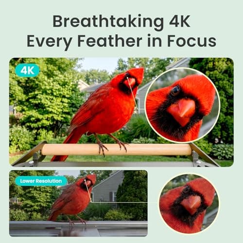 Birdfy Smart Bird Feeder with Camera, 4K UHD Video, Dual-Band 2.4/5GHz Wi-Fi, Solar Powered, AI Identification Lifetime Free, Bird Watching Gift for Bird Lovers - Thumbnail 3
