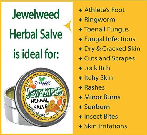 Creation Farm Jewelweed Salve Big 4 oz Tin - Tea Tree Ointment for Skin Care of Poison Ivy, Tattoo Aftercare, Great for Itch! - Thumbnail 3