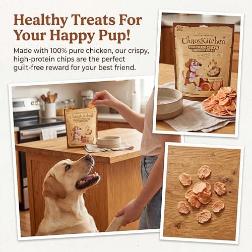 Dehydrated Chicken Round Dog Treats, Grain-Free High Protein Dog Chips for Training, Healthy Dry Snacks for Small Medium Large Dogs, Puppy & Senior Friendly, Natural Real Chicken, 16 oz (1 lb / 454 g) - Thumbnail 2