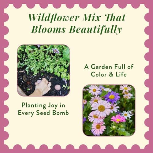 Modern Sprout Wildflower Seed Ball Poop - Eco-Friendly Gift - Non-GMO Hand-Rolled Clay Seed Bombs w/Wildflower Seeds - Plop Plant & Grow Gardening Gift Set for All Occasions (Magical Plop- Pack of 3) - Thumbnail 6
