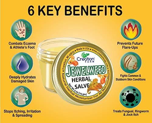 Creation Farm Jewelweed Balm, Poison Ivy Remedy, Herbal Tea Tree Salve Jar Skin Treatment Helps Tattoo's, Soothes Rashes, No Gluten, No Parabens, No Soy, No GMO - Thumbnail 4